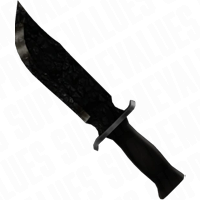Coal
