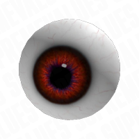Eyeball